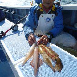 松栄丸 釣果