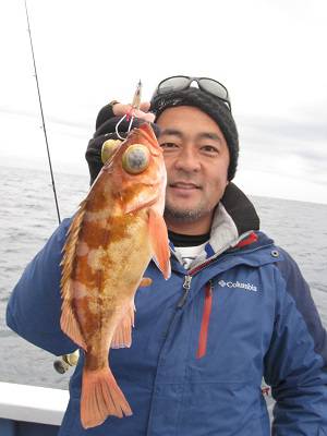 松栄丸 釣果