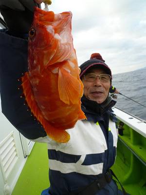 松栄丸 釣果