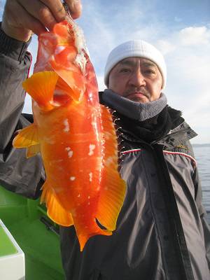 松栄丸 釣果