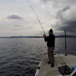 フィッシングボート空風(そらかぜ) 釣果