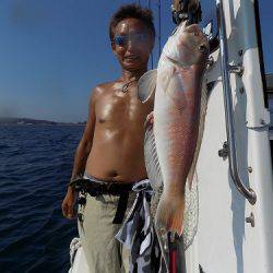 フィッシングボート空風(そらかぜ) 釣果