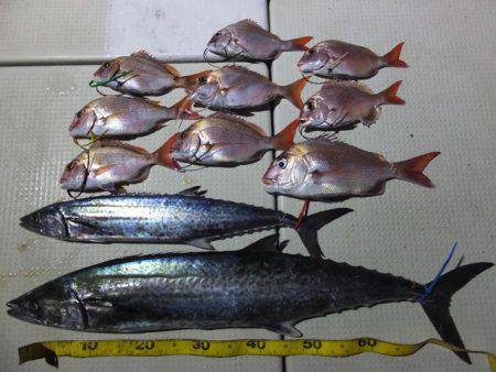 Hit Rush(ヒット ラッシュ） 釣果…