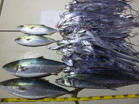 Hit Rush(ヒット ラッシュ） 釣果…