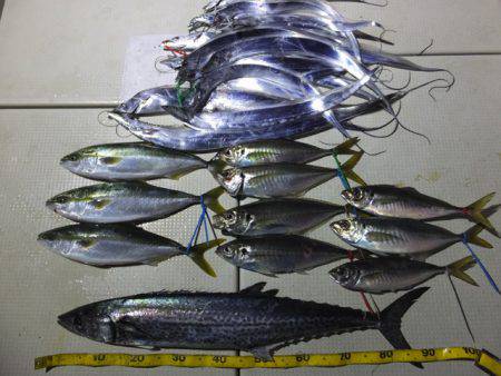 Hit Rush(ヒット ラッシュ） 釣果