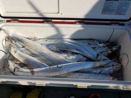 遊漁船　ニライカナイ 釣果