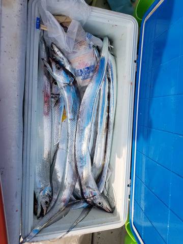 遊漁船 ニライカナイ 釣果