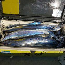 遊漁船　ニライカナイ 釣果