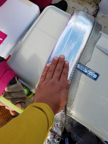 遊漁船　ニライカナイ 釣果