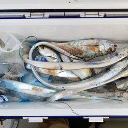 遊漁船 ニライカナイ 釣果