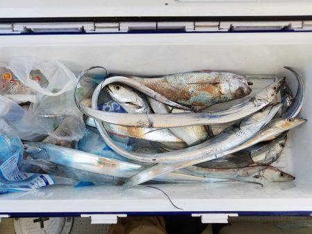 遊漁船 ニライカナイ 釣果