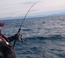 IDATEN(イダテン) 釣果