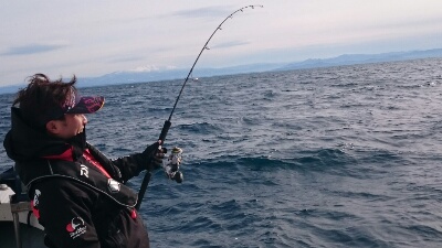 IDATEN(イダテン) 釣果