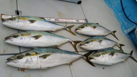 オーフリー 釣果