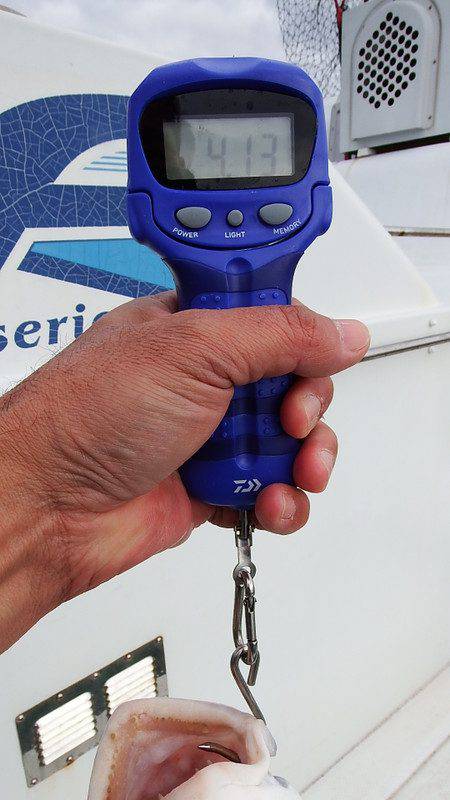 第三むつりょう丸 釣果