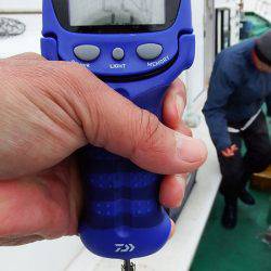 第三むつりょう丸 釣果