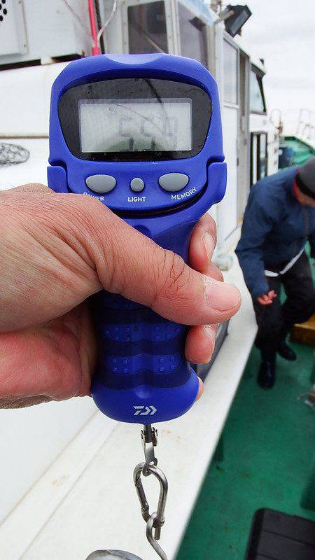 第三むつりょう丸 釣果