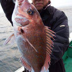 第三むつりょう丸 釣果