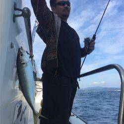 マタウマリンサービス 釣果