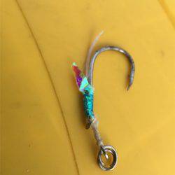 マタウマリンサービス 釣果