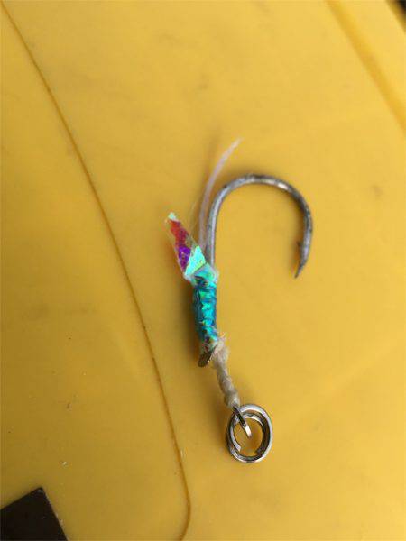 マタウマリンサービス 釣果