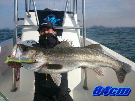 オーシャンマスター 釣果