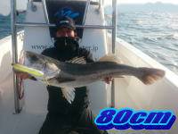 オーシャンマスター 釣果
