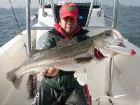 オーシャンマスター 釣果