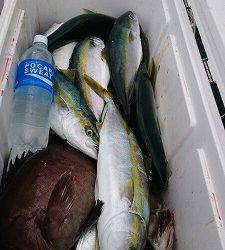 海龍丸(福岡) 釣果