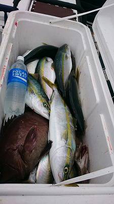 海龍丸(福岡) 釣果