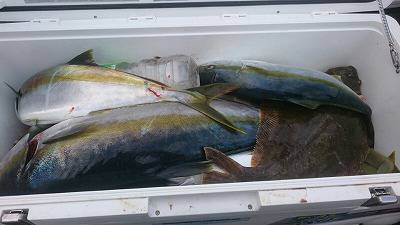 海龍丸(福岡) 釣果