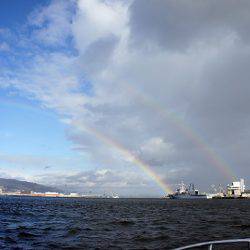 フルコンタクト 釣果