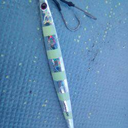 ファイヤードルフィン 釣果