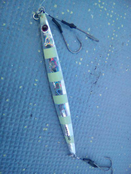 ファイヤードルフィン 釣果