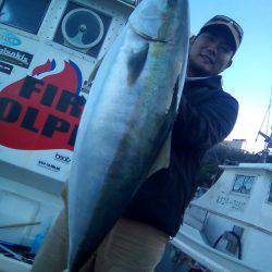 ファイヤードルフィン 釣果