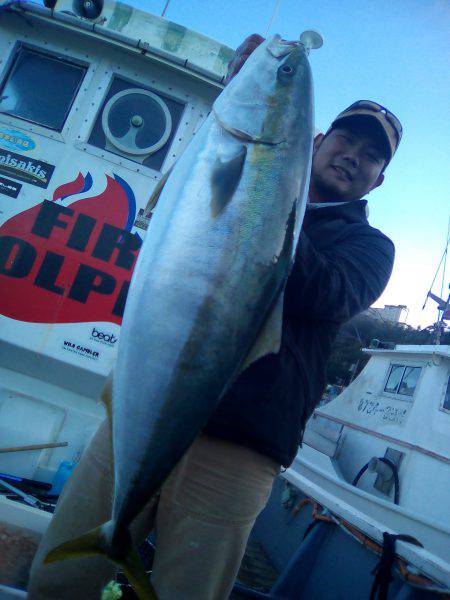 ファイヤードルフィン 釣果