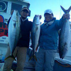 ファイヤードルフィン 釣果