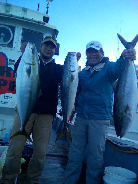 ファイヤードルフィン 釣果