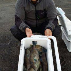 オーフリー 釣果