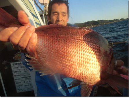 海正丸 釣果