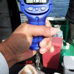 第三むつりょう丸 釣果