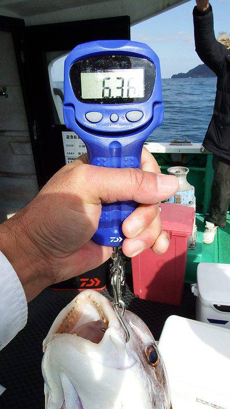 第三むつりょう丸 釣果