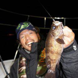 フルコンタクト 釣果