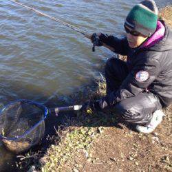 吉羽園 釣果