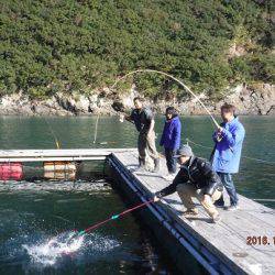 フィッシングパーク錦 釣果