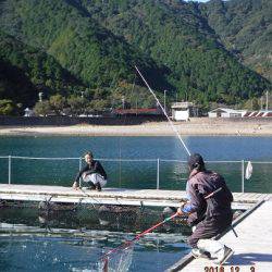 フィッシングパーク錦 釣果