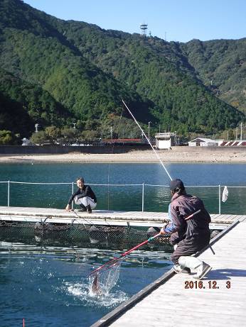 フィッシングパーク錦 釣果