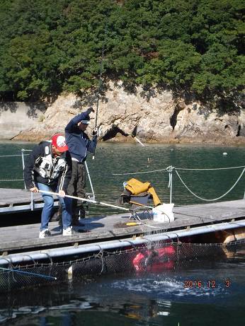 フィッシングパーク錦 釣果