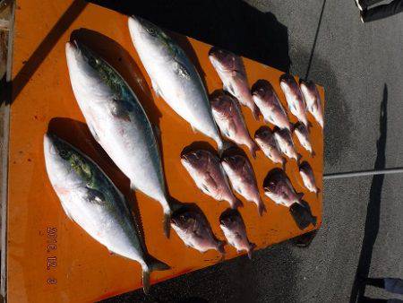 フィッシングパーク錦 釣果