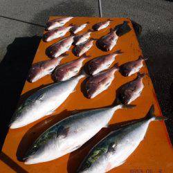 フィッシングパーク錦 釣果